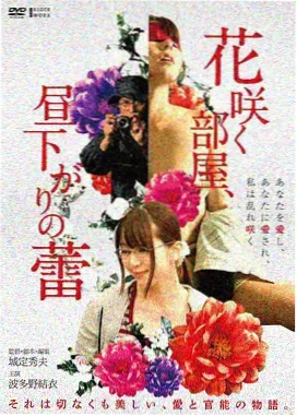 星河漫游电影海报